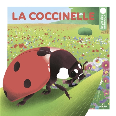 La coccinelle - 