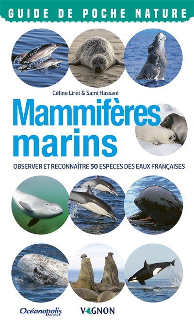 Mammifères marins - 