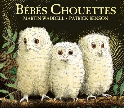 Bébés chouettes - 