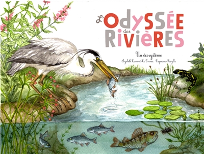 L'odyssée des rivières - 