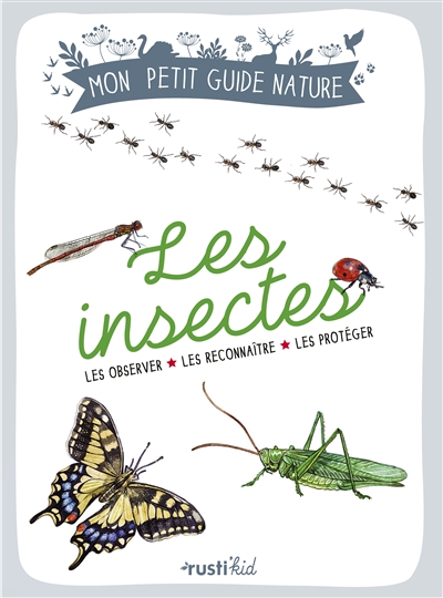 Les insectes - 