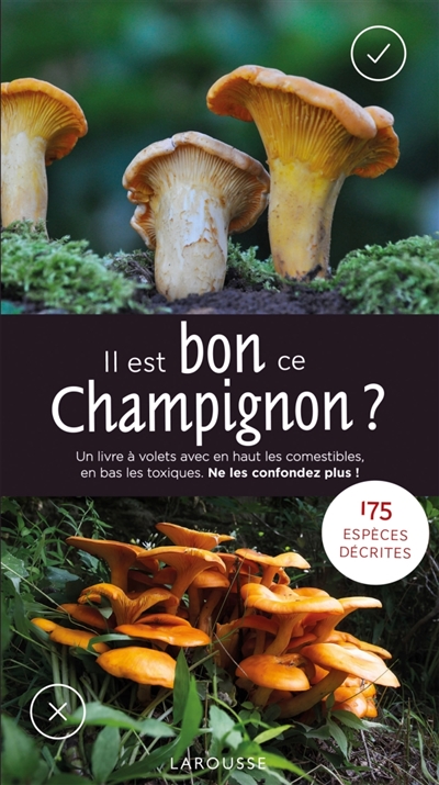 Il est bon, ce champignon ? - 