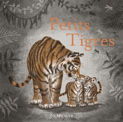 Petits tigres - 