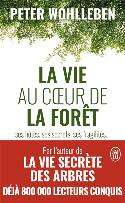 La vie au coeur de la forêt - 