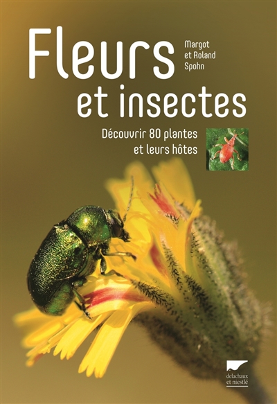 Fleurs et insectes - 