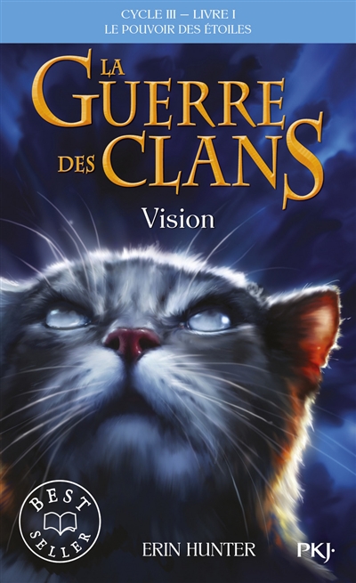 Vision - 