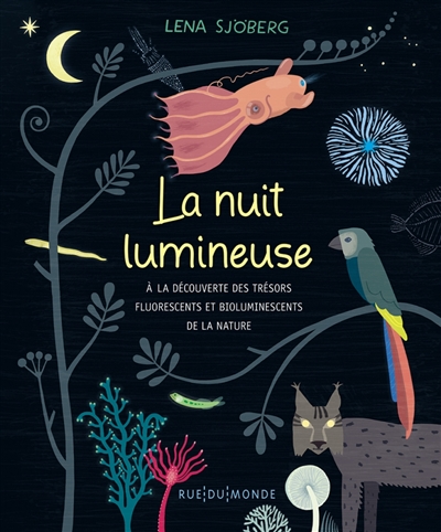 La nuit lumineuse - 