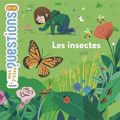 Les insectes - 