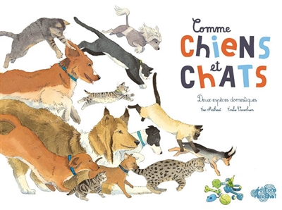 Comme chiens et chats - 