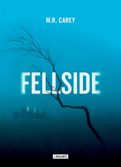 Fellside - 