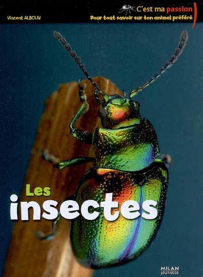insectes (Les ) - 