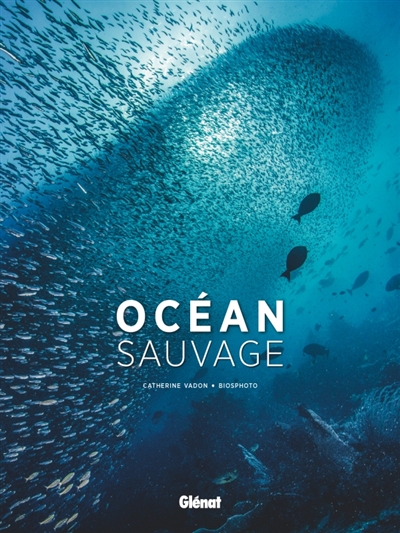 Océan sauvage - 