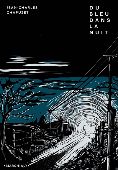 Du bleu dans la nuit - 