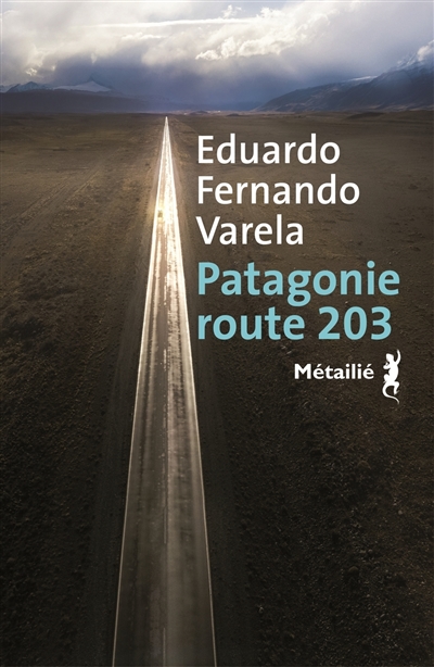 Patagonie route 203 - 