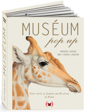 Muséum pop-up - 