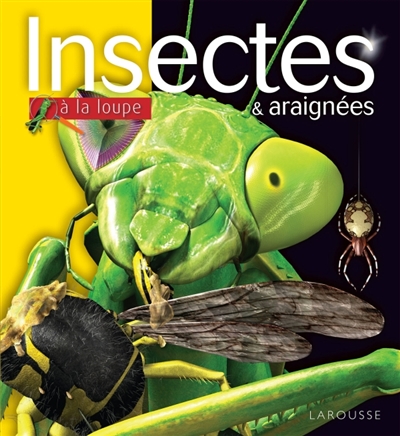 Insectes et araignées - 