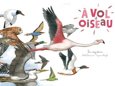 A vol d'oiseau - 