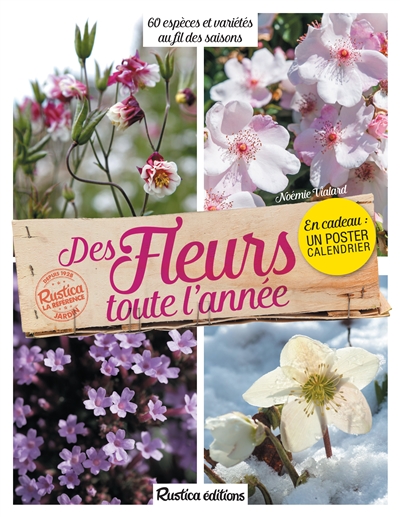 Des fleurs toute l'année - 