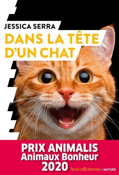 Dans la tête d'un chat - 