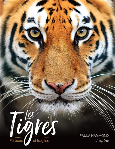 Les tigres - 