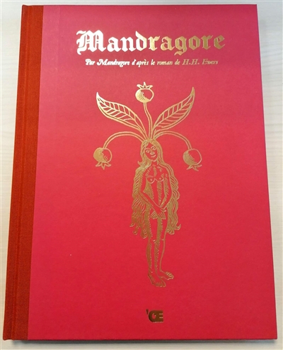 Mandragore - 