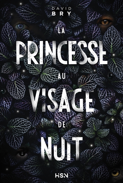 La princesse au visage de nuit - 