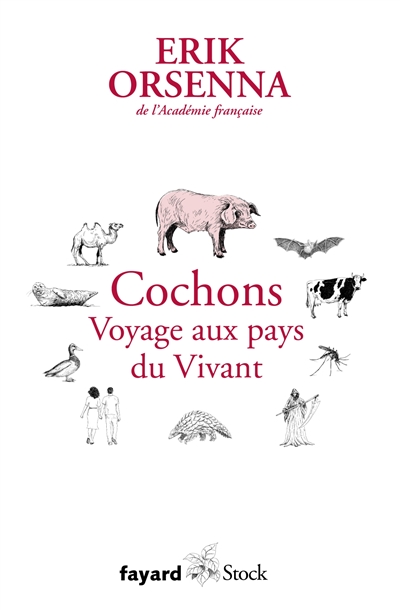 Cochons - 