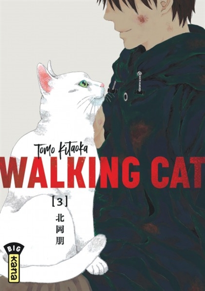 Walking cat - 