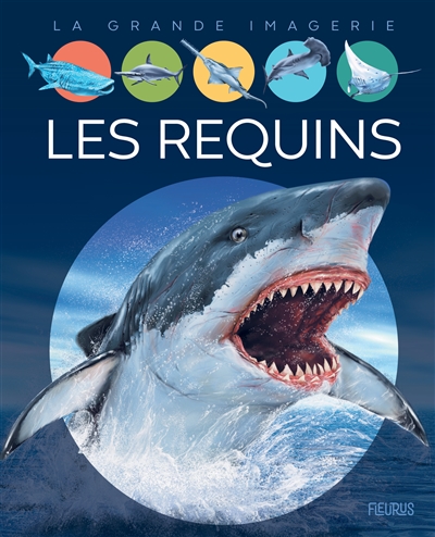 Les requins - 