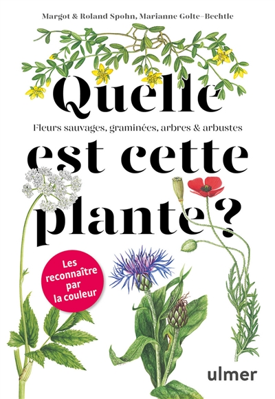 Quelle est cette plante ? - 