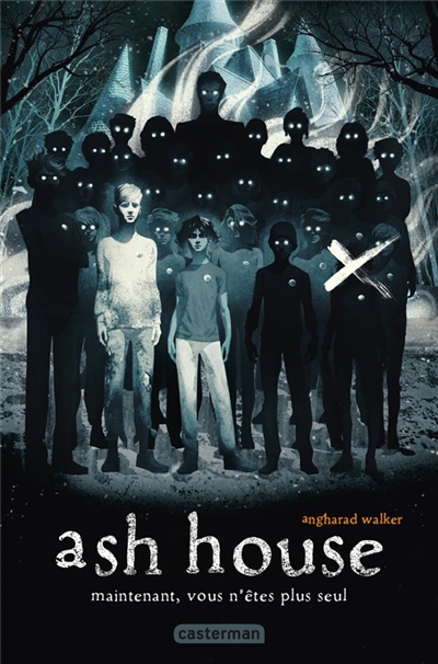 Ash house - 