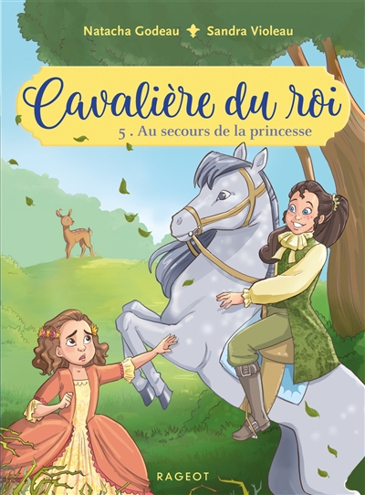 Au secours de la princesse - 