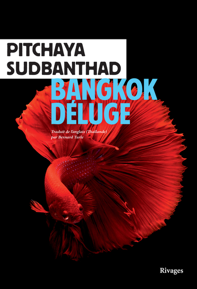 Bangkok déluge - 