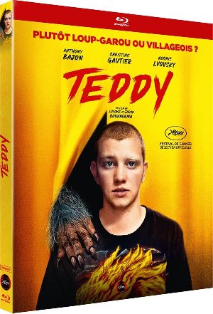 Teddy - 