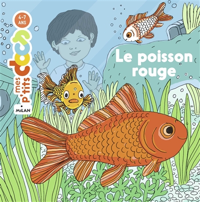 Le poisson rouge - 