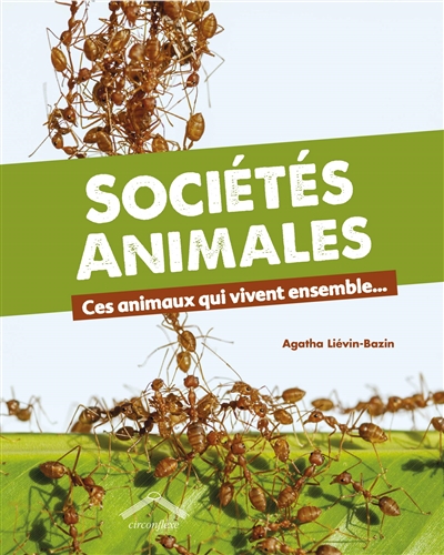 Sociétés animales - 