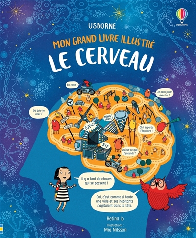 Le cerveau - 