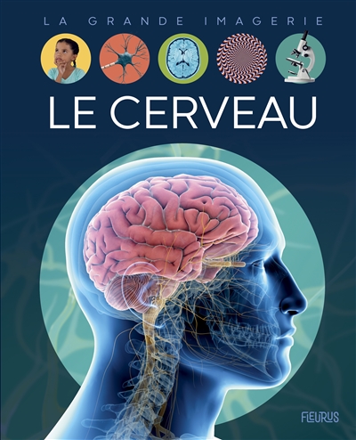 Le cerveau - 