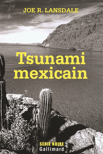 Tsunami mexicain - 