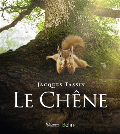 Le chêne - 