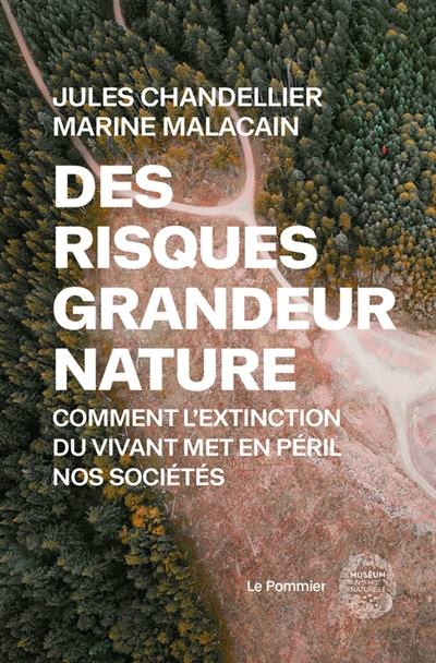 Des risques grandeur nature - 