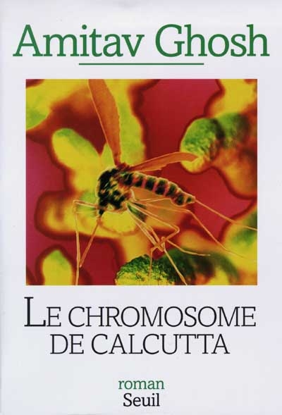 chromosome de Calcutta (Le) - 