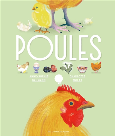 Poules - 