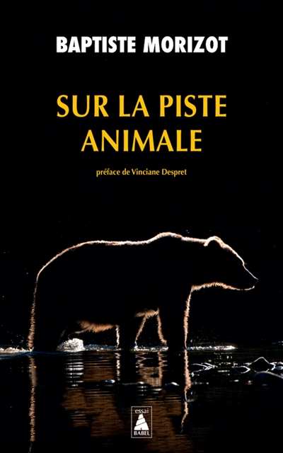 Sur la piste animale - 