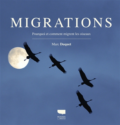 Migrations - 