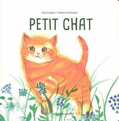 Petit chat - 