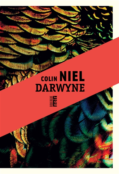 Darwyne - 