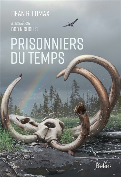 Prisonniers du temps - 