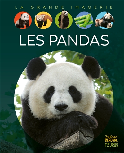 Les pandas - 