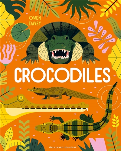 Crocodiles - 